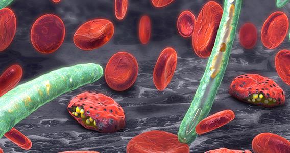 environmental-vector-research